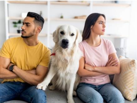 Waukesha County, WI Divorce Attorney